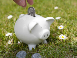 person putting a coin in a piggy bank placed on the grass