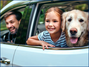 Man, child and dog looking out a car window.