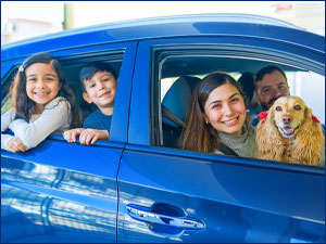 Family looking out of a car 