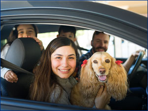 woman and dog sitting in passenger side of car looking out the window