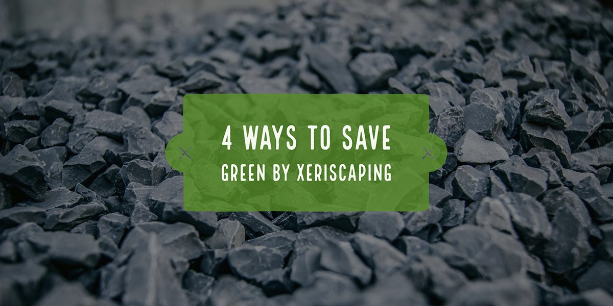 4WaystoSaveGreenbyXeriscaping