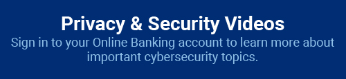Privacy and Security Videos: Sign in to your Online Banking account to learn more about important cybersecurity topics.