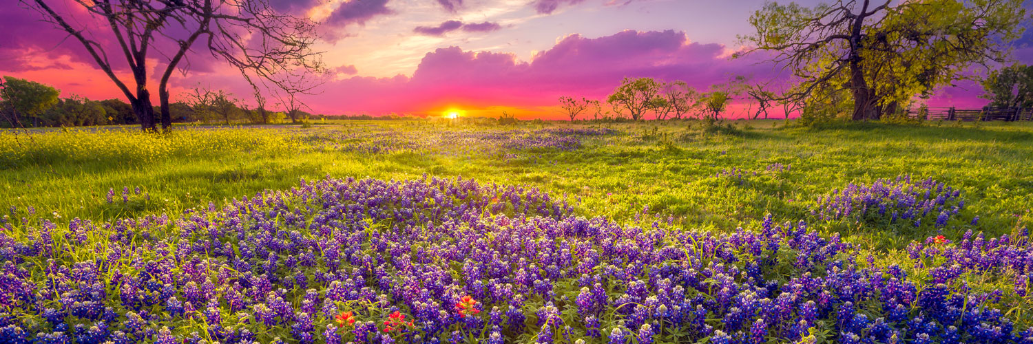 Land-Loans-Hero Sunset on a land full of bluebonnets
