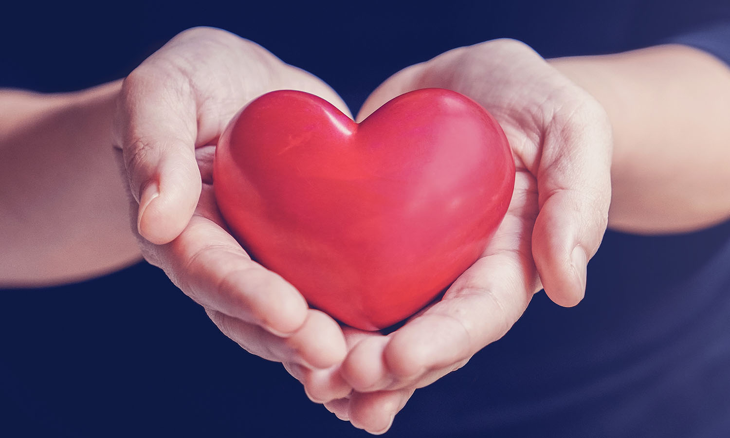 Hands holding heart symbol toy