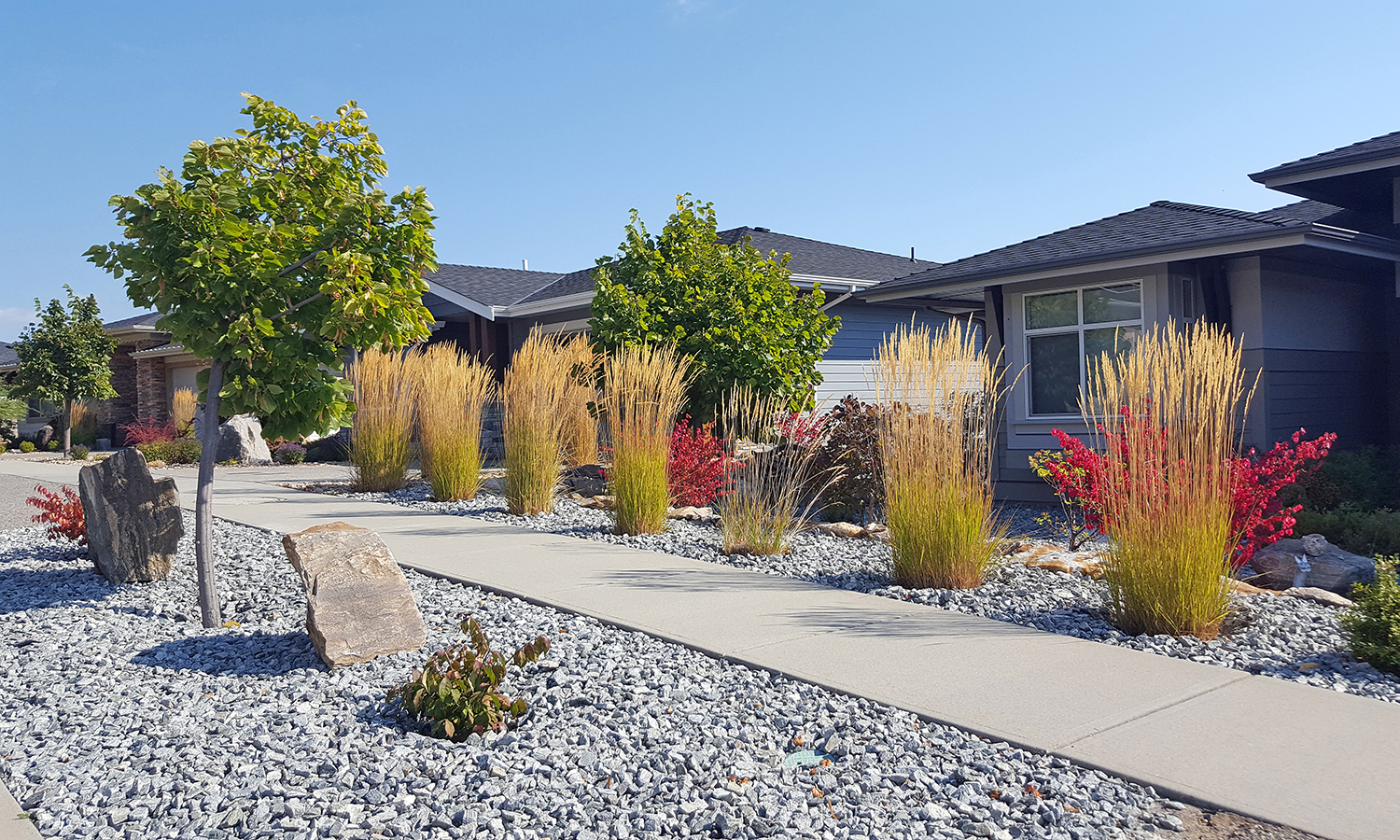 Xeriscaping in front yard of home