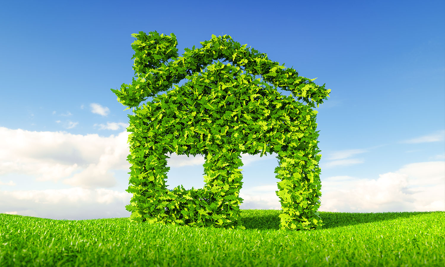 House made out of grass and leaves